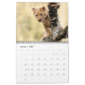 2026 Wilde Löwen Kalender (Jan 2027)