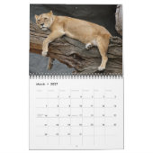 2026 Wilde Löwen Kalender (Mär 2027)