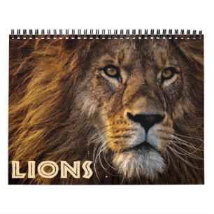 2026 Wilde Löwen Kalender