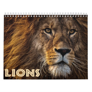 2026 Wilde Löwen Kalender
