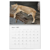 2026 Wilde Löwen Kalender (Mär 2027)