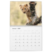 2026 Wilde Löwen Kalender (Jan 2027)