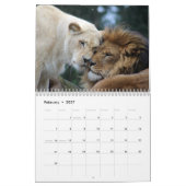 2026 Wilde Löwen Kalender (Feb 2027)