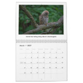 2026 Wildlife Calendar by Kevin Harris Kalender (Mär 2027)