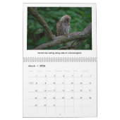 2026 Wildlife Calendar by Kevin Harris Kalender (Mär 2026)