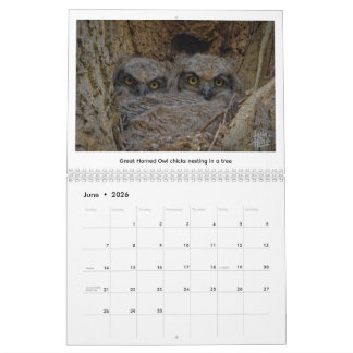 2026 Wildlife Calendar by Kevin Harris Kalender