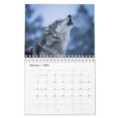 2026 Wildlife Photography Calendar | Wild Animals Kalender (Feb 2026)