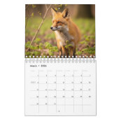 2026 Wildlife Photography Calendar | Wild Animals Kalender (Mär 2026)
