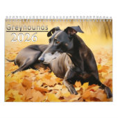 2026 Windhunde Kalender (Titelbild)