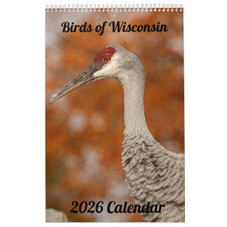 2026 Wisconsin Birds Calendar Kalender
