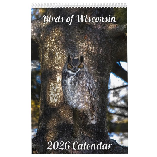 2026 Wisconsin Birds Calendar Kalender (Titelbild)