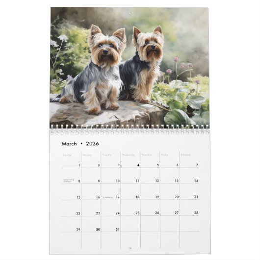 2026 Yorkshire Terriers Kalender (Mär 2026)