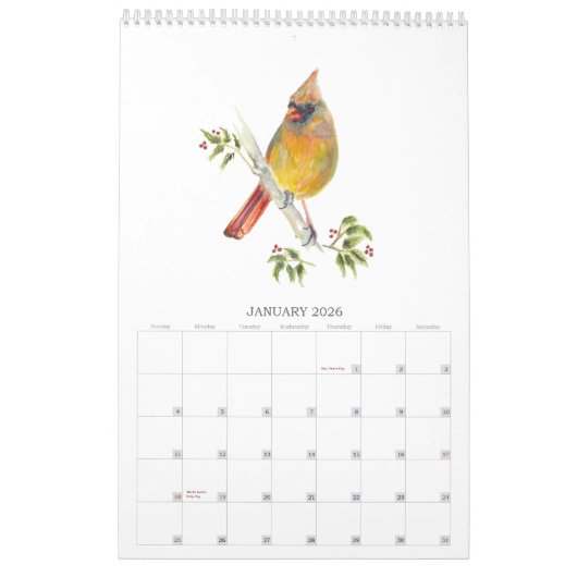 2026Garten-Vögel im Aquarellkalender Kalender (Jan 2026)
