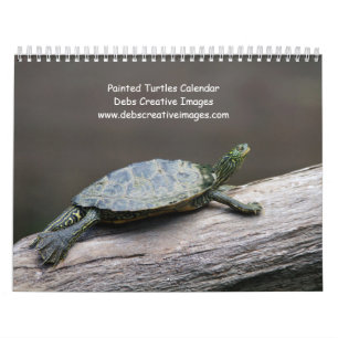 2027 Adirondack-Gemalte Schildkröten Wildtiere Kalender