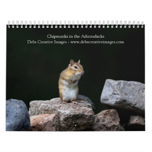 2027 Adirondack-Streifenhörnchen Waldtiere Kalender