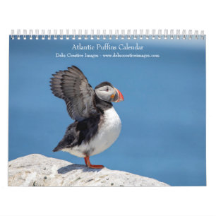 2027 Atlantik-Papageientaucher   Küsten-Wildtierfo Kalender
