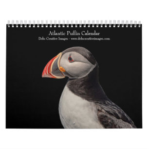 2027 Atlantik-Papageientaucher   Seevögel von Main Kalender
