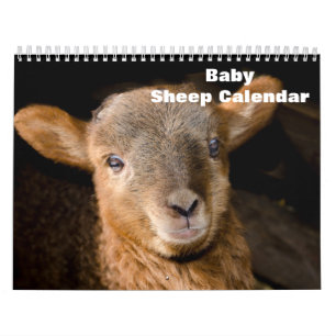 2027 Baby-Schaf Lamm Kalender