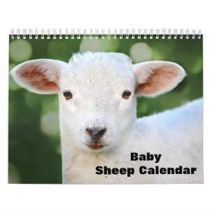 2027 Baby-Schaf Lamm Kalender