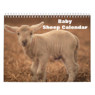 2027 Baby-Schaf Lamm Kalender