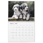 2027 Bartcollie-Kalender Kalender (Feb 2027)