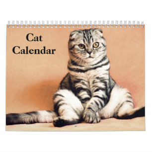 2027 Bengal Katze Kalender