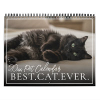 2027 Benutzerdefinierte Haustierkatze Beste Katze