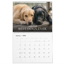 2027 Beste Hunde Aller Zeiten Erstellen Sie Ihr Ei