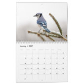 2027 Blauraben | Hinterhof-Vogel-Fotografie Kalender (Jan 2027)