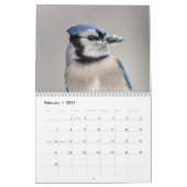 2027 Blauraben | Hinterhof-Vogel-Fotografie Kalender (Feb 2027)