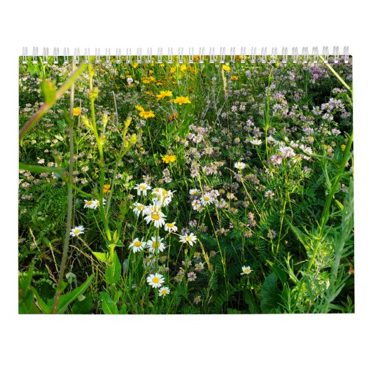 2027 Blumenvorhersage Kalender (Rückseite)