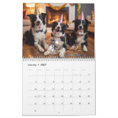  2027 Border Collie-Kalender Kalender (Jan 2027)