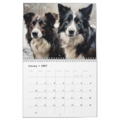 2027 Border Collies Kalender (Jan 2027)