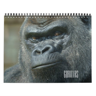2027 Classic Ozala Oumbi Lope Shufai Gorilla Kalender