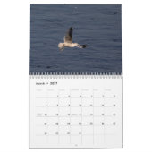 2027 Conowingo-Damm | Adler- und Wildtierfotografi Kalender (Mär 2027)