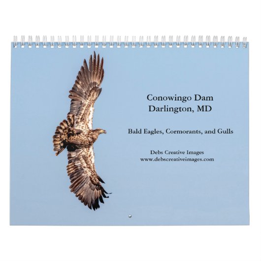 2027 Conowingo-Damm Weißkopfseeadler | Maryland-Wi Kalender (Titelbild)