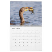 2027 Conowingo-Damm Weißkopfseeadler | Maryland-Wi Kalender (Mär 2027)