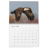 2027 Conowingo-Damm Weißkopfseeadler | Maryland-Wi Kalender (Jan 2027)