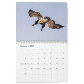 2027 Conowingo-Damm Weißkopfseeadler | Maryland-Wi Kalender (Feb 2027)