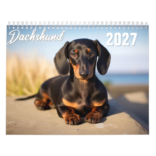 2027 Dachshund Kalender (Titelbild)