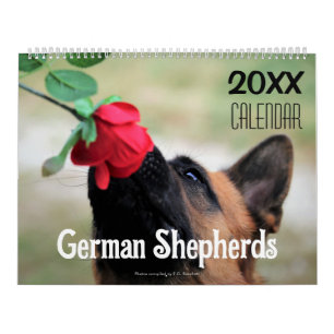2027 Deutscher Schäferhund Wandkalender Tier