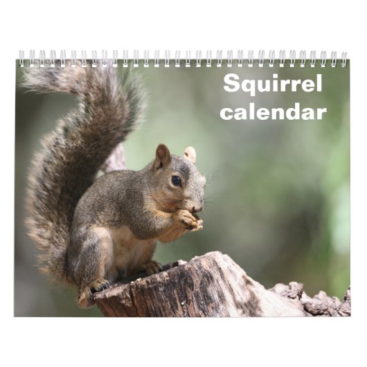 2027 Eichhörnchen Kalender (Titelbild)