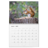 2027 Eichhörnchen Kalender (Mär 2027)