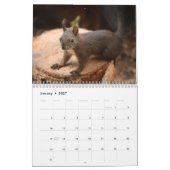 2027 Eichhörnchen Kalender (Jan 2027)