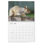 2027 Eichhörnchen Kalender (Mär 2027)