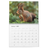 2027 Eichhörnchen Kalender (Jan 2027)