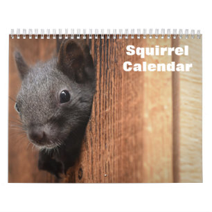2027 Eichhörnchen Kalender