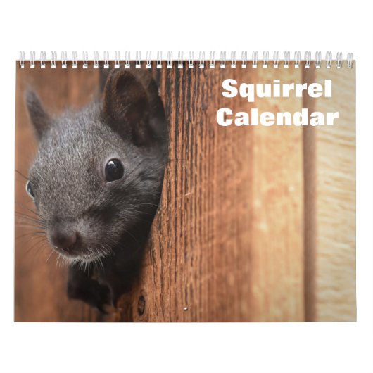2027 Eichhörnchen Kalender (Titelbild)