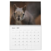 2027 Eichhörnchen Kalender (Mär 2027)