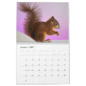 2027 Eichhörnchen Kalender (Jan 2027)
